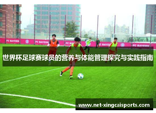 世界杯足球赛球员的营养与体能管理探究与实践指南