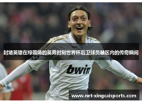 封堵英雄在绿茵场的英勇时刻世界杯后卫球员禁区内的传奇瞬间