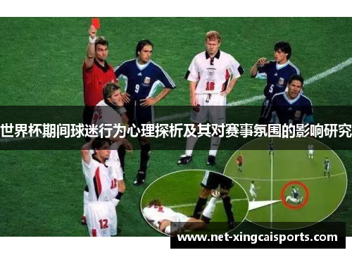 世界杯期间球迷行为心理探析及其对赛事氛围的影响研究