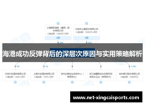 海港成功反弹背后的深层次原因与实用策略解析
