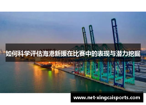 如何科学评估海港新援在比赛中的表现与潜力挖掘