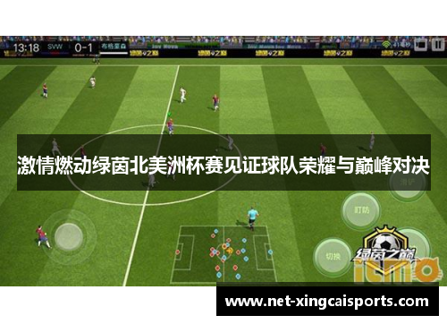 激情燃动绿茵北美洲杯赛见证球队荣耀与巅峰对决 激情燃动绿茵北美洲杯赛见证球队荣耀与巅峰对决